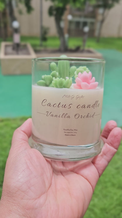 Cactus candles